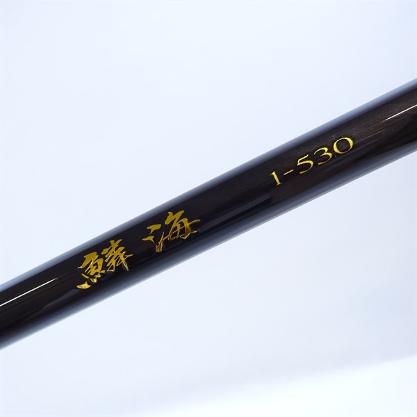 ２５鱗海１－５３０